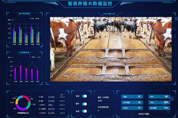 養殖場 監控系統 養殖場監控安裝 監控系統安裝方案 養殖場 監控系統 養殖場監控安裝 監控系統安裝方案